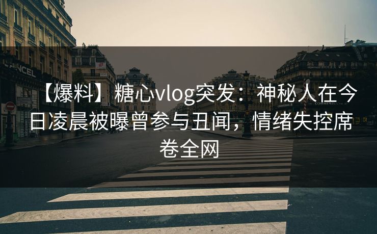【爆料】糖心vlog突发：神秘人在今日凌晨被曝曾参与丑闻，情绪失控席卷全网